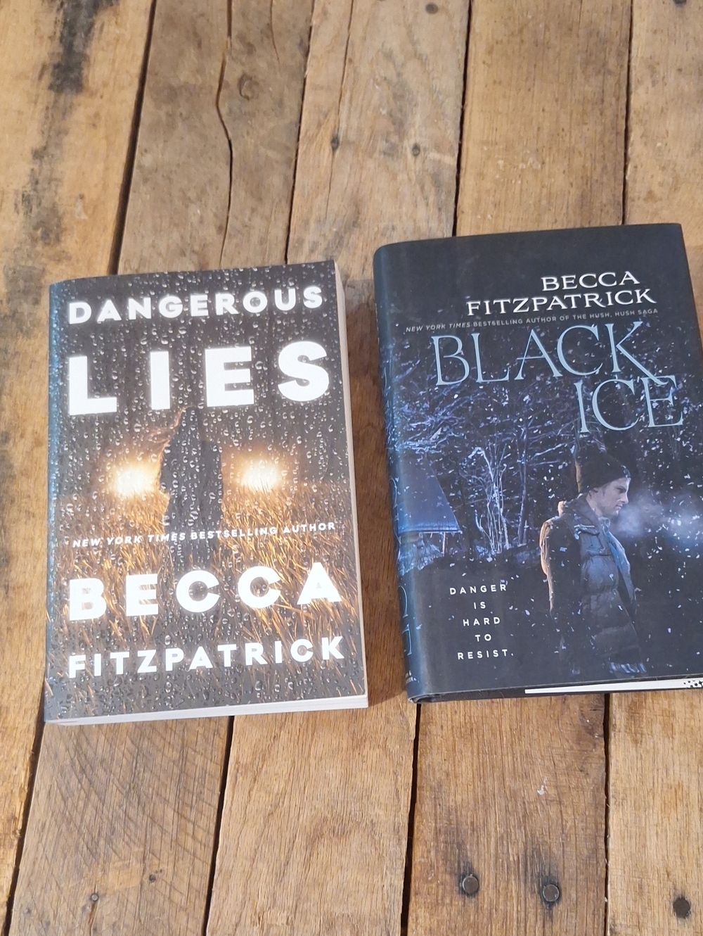 Becca Fitzpatrick Bundle 2 Books